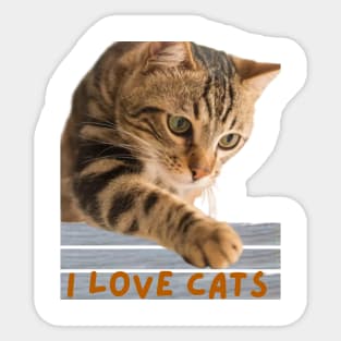 "I Love Cats" Collection. Sticker